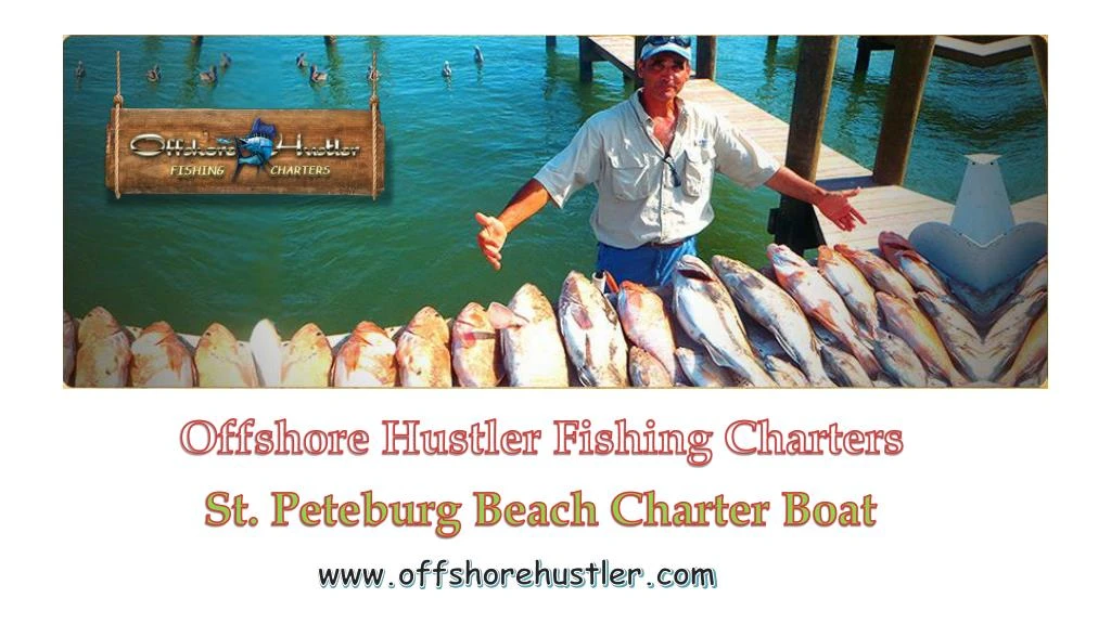 offshore hustler fishing charters n.