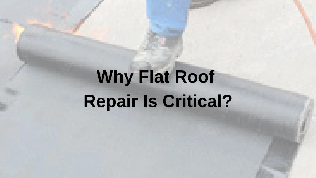 why flat roof repair is critical n.