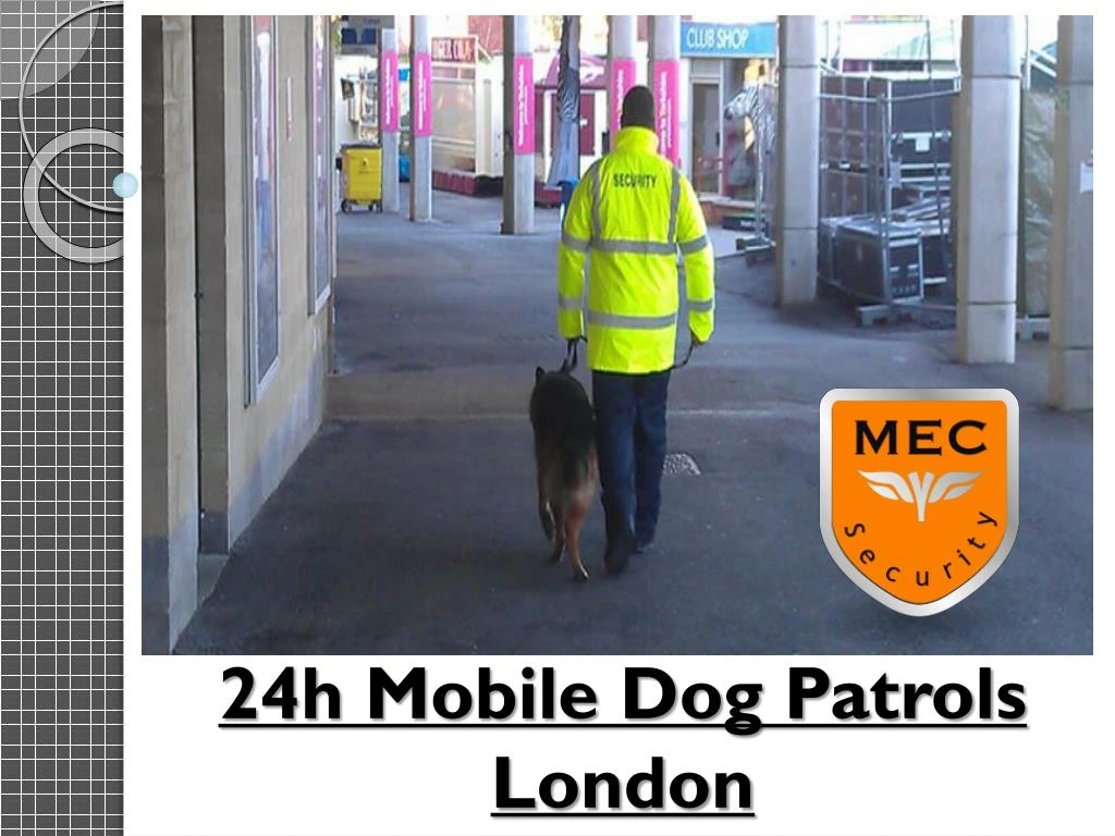 24h mobile dog patrols london n.