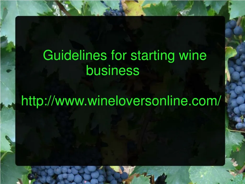 guidelines for starting wine business http www wineloversonline com n.