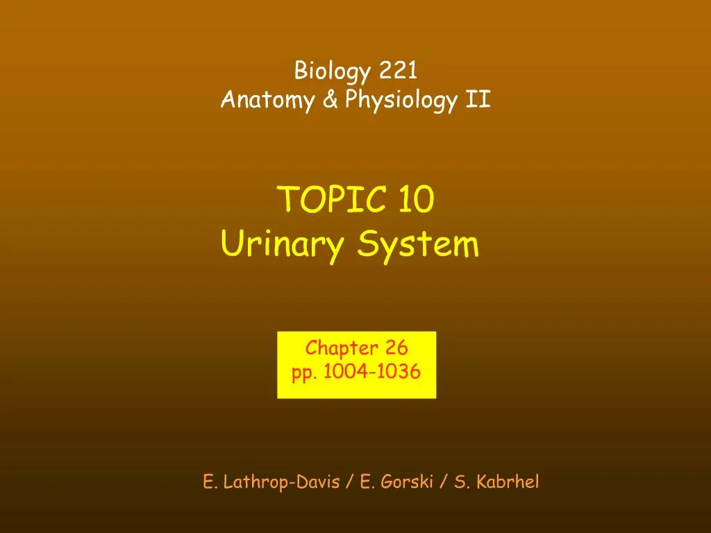 Ppt Topic 10 Urinary System Powerpoint Presentation Free Download