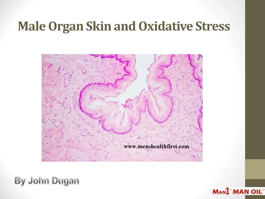 male organ skin and oxidative stress n.