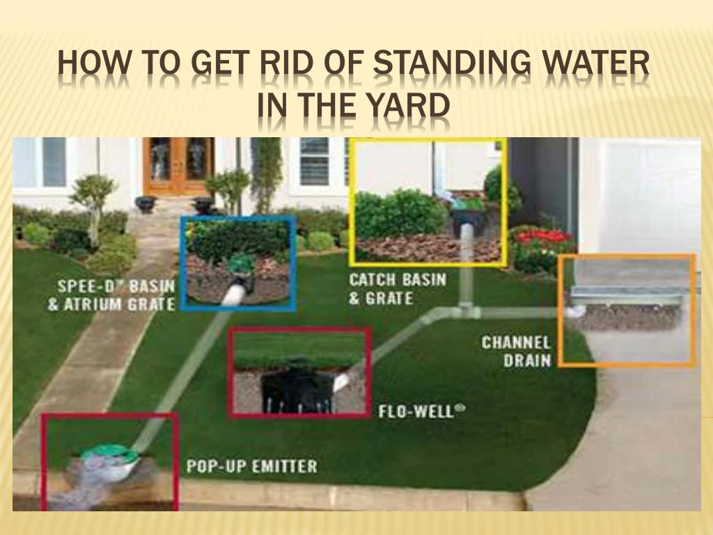 ppt-how-to-get-rid-of-standing-water-in-the-yard-powerpoint