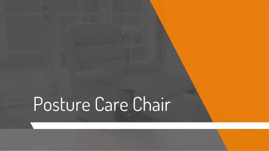 posture care chair n.