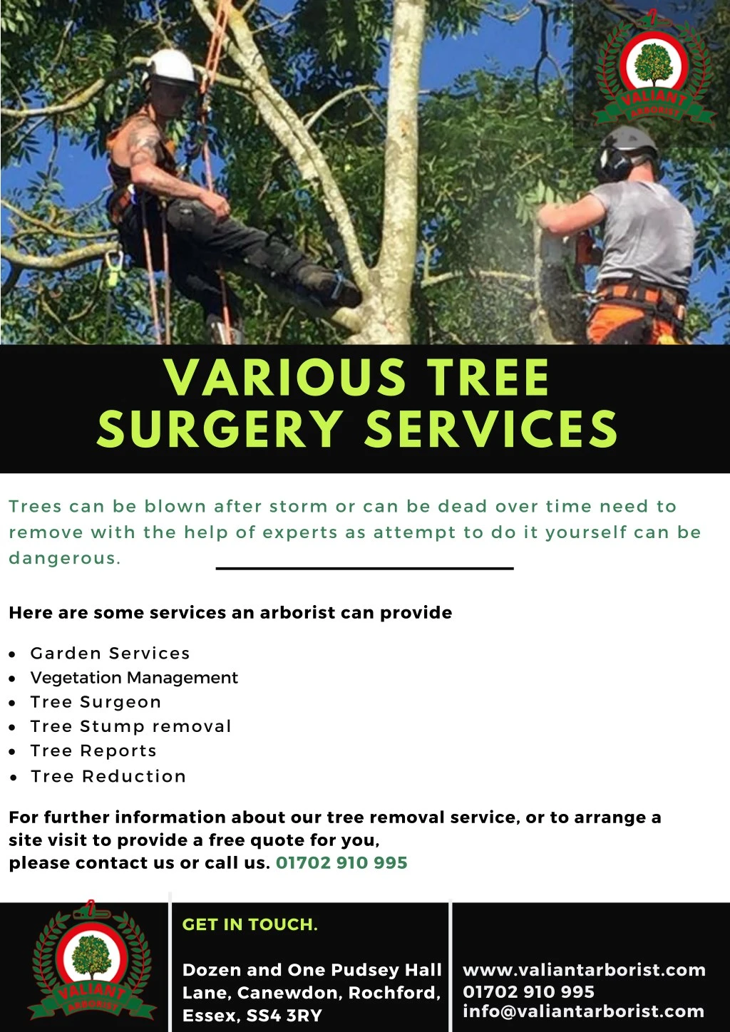 various tree surgery services n.