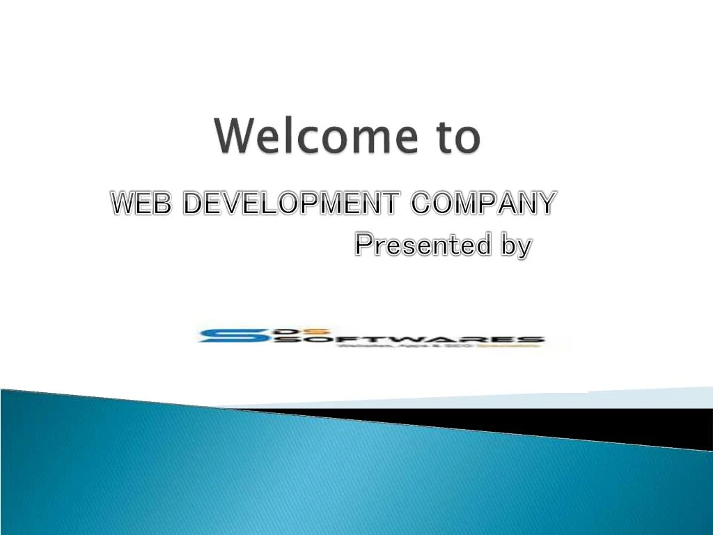 web development company presented by n.