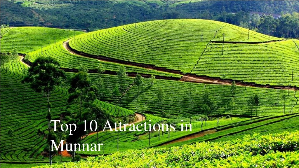 top 10 attractions in munnar n.