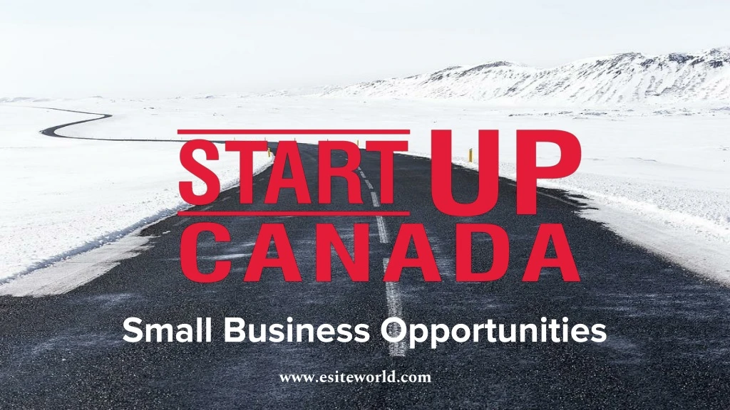 small business opportunities n.