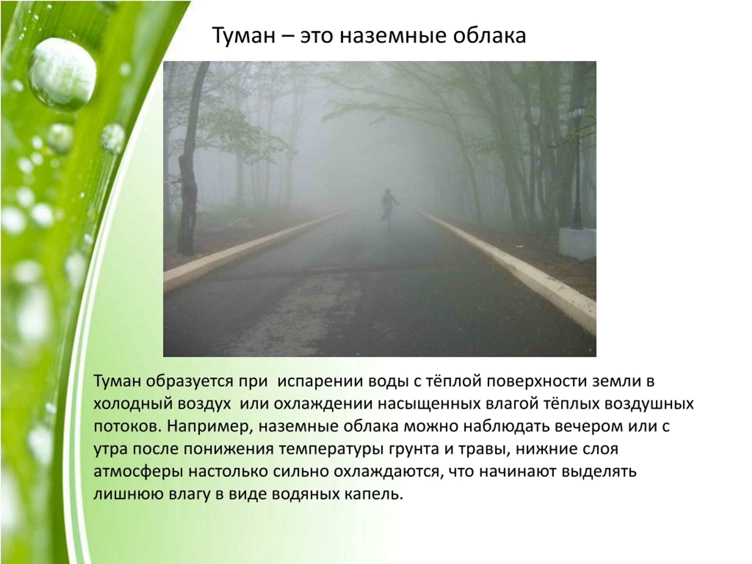 Почему вечером после жаркого дня появляется. Как образуется туман. Причины образования тумана. Процесс образования тумана. Туман образуется при:.