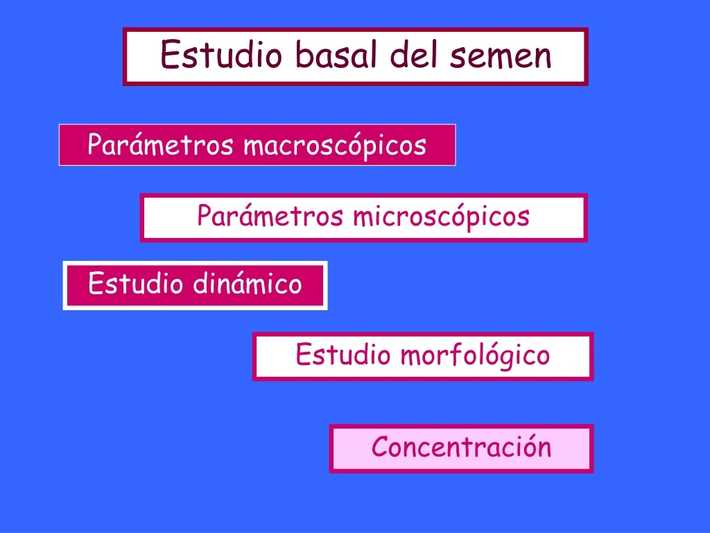 estudio basal del semen n.