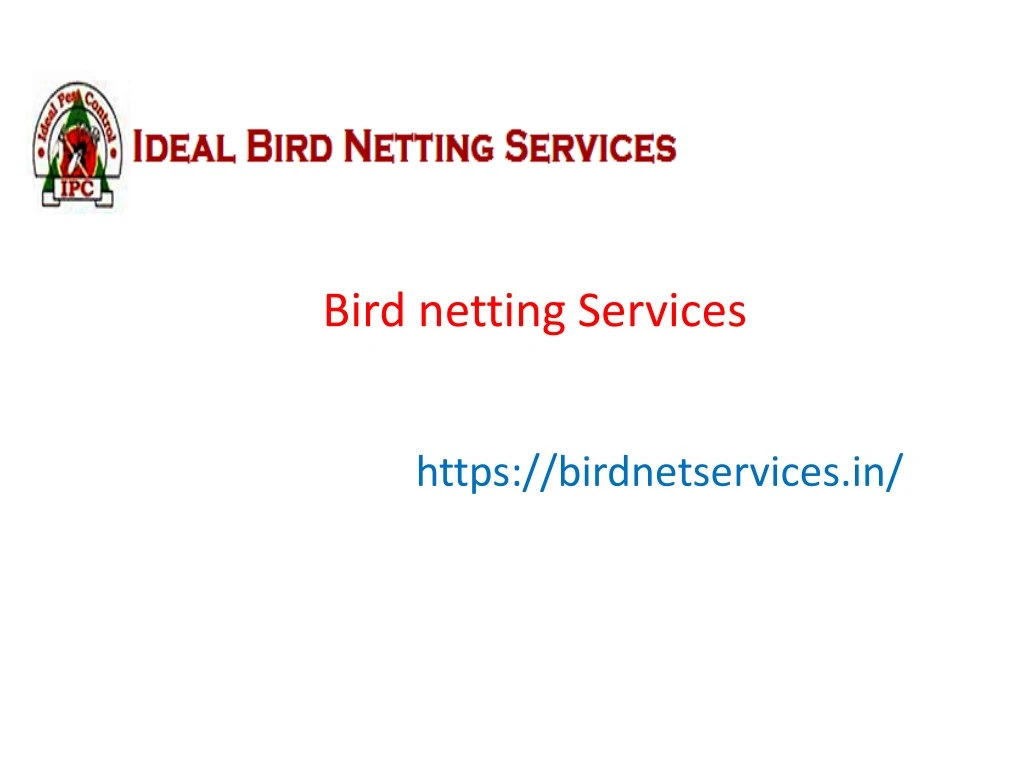 bird netting services n.