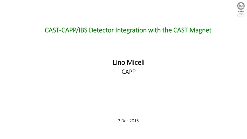 cast capp ibs detector integration with the cast magnet n.