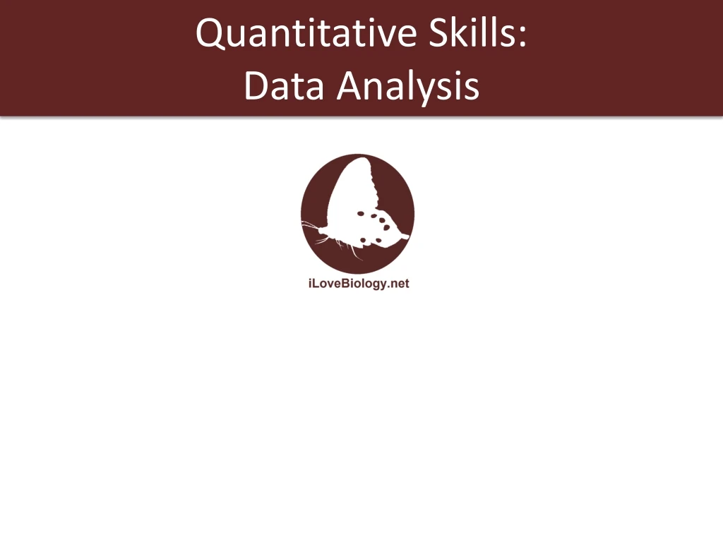 quantitative skills data analysis n.