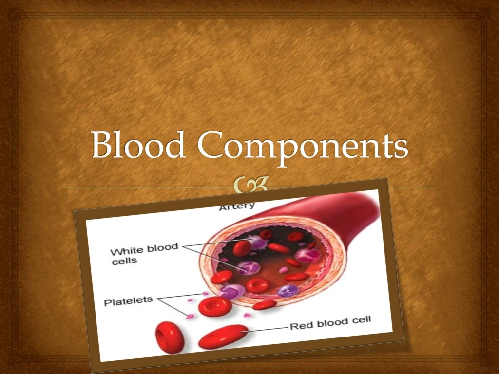 blood components n.