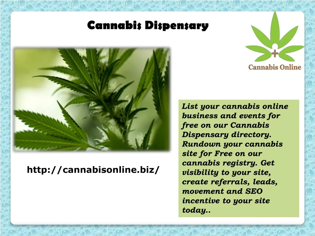 cannabis dispensary n.
