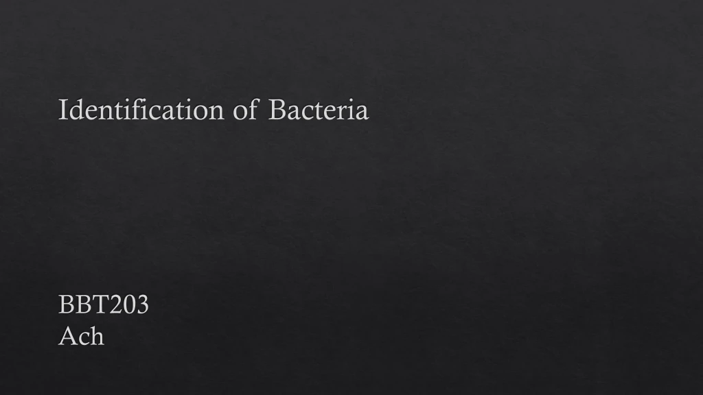 identification of bacteria bbt203 ach n.
