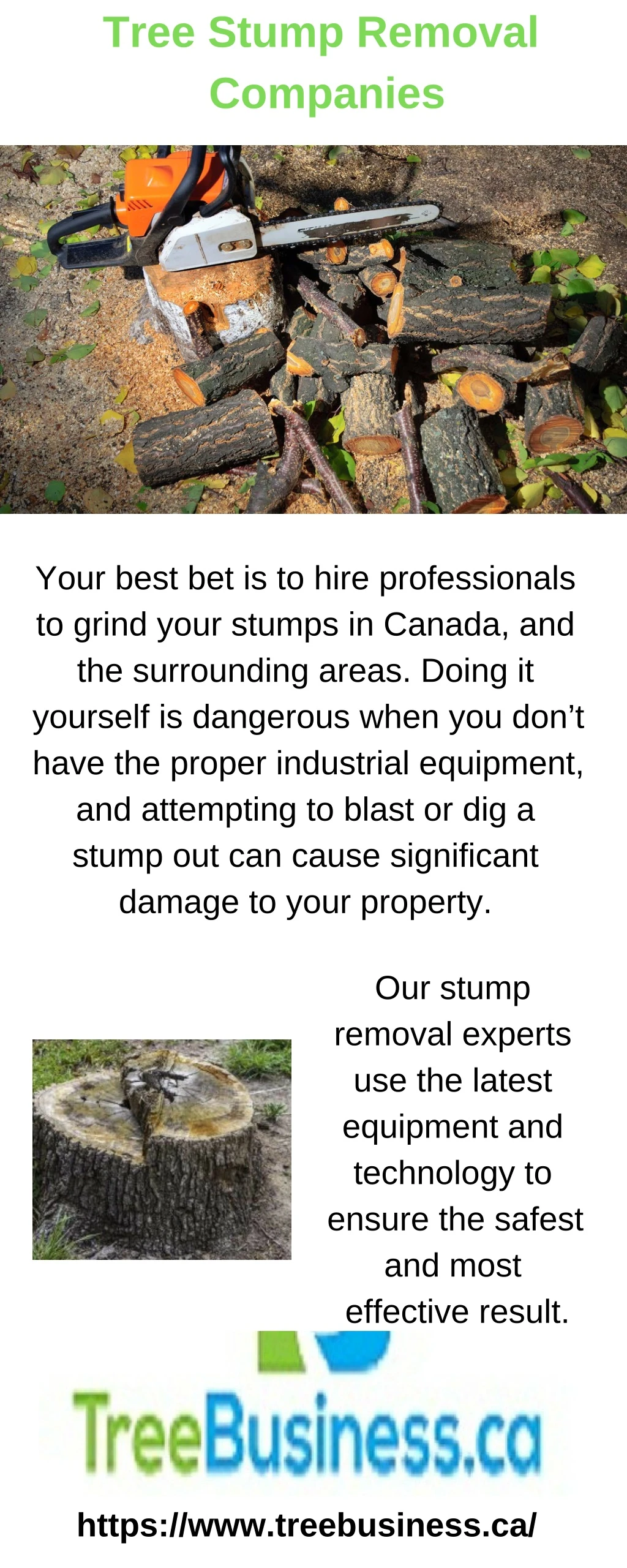 tree stump removal companies n.
