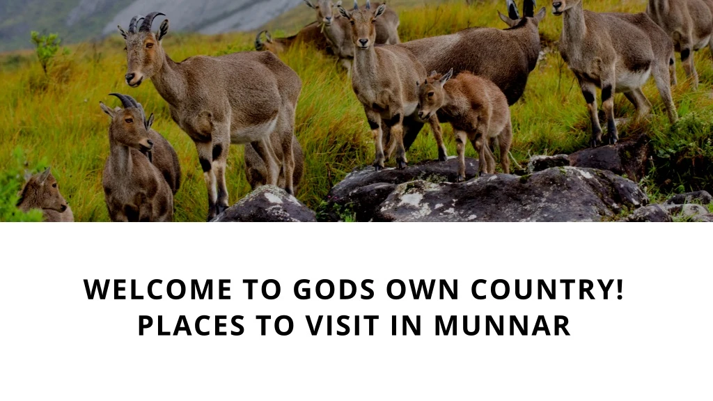 welcome to gods own country places to visit n.