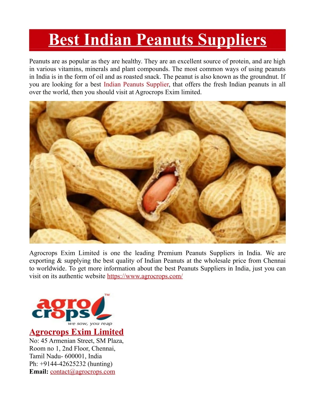 best indian peanuts suppliers n.