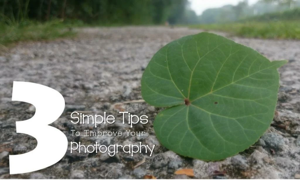 3 simple tips to improve your photography n.