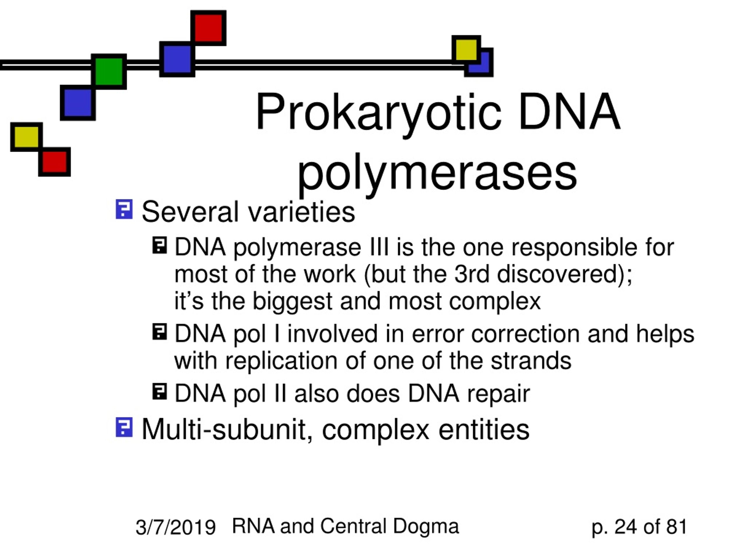 PPT - Replication, Transcription, and RNA Processing PowerPoint ...