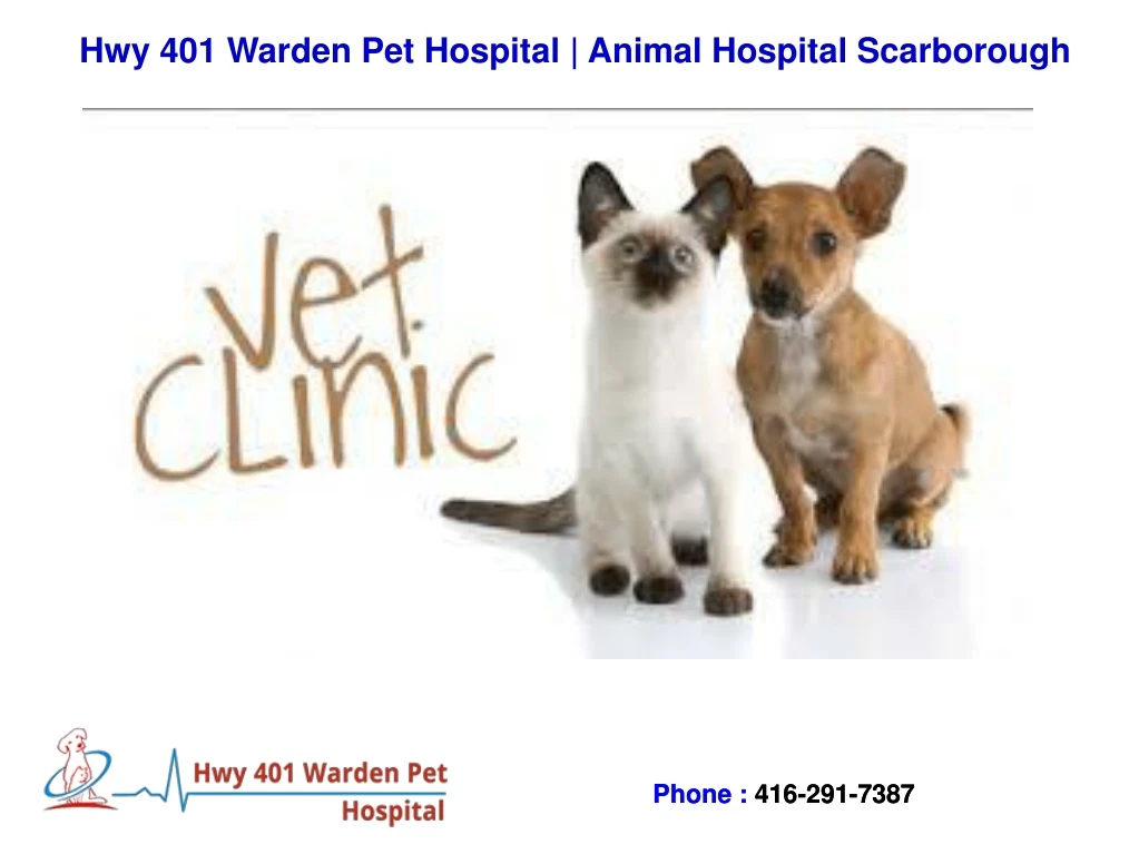hwy 401 warden pet hospital animal hospital n.