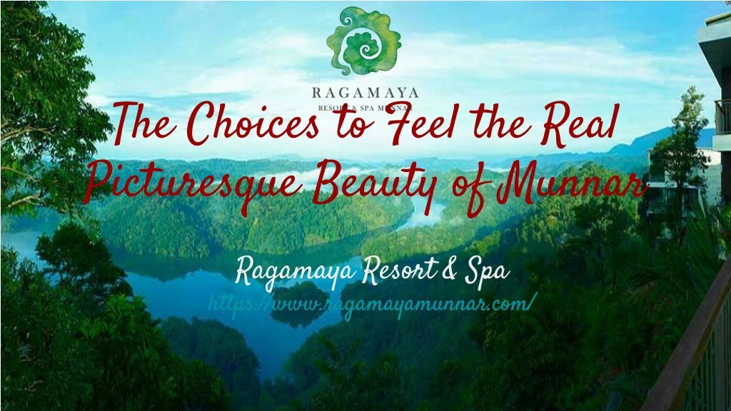 the choices to feel the real p icturesque beauty of munnar n.