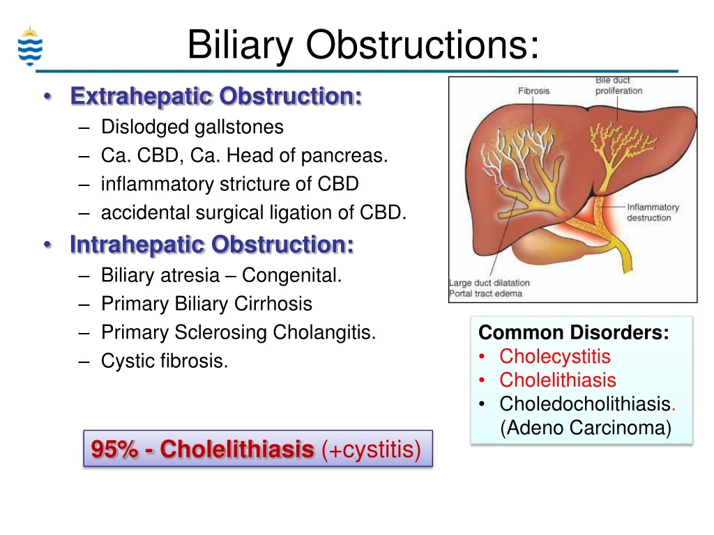 PPT - Pathology Review-Term2 PowerPoint Presentation - ID:8201938