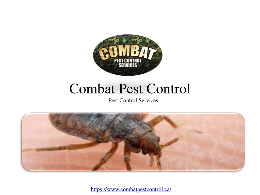 combat pest control n.