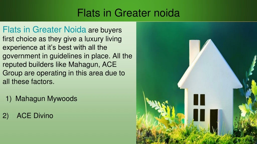 flats in greater noida n.