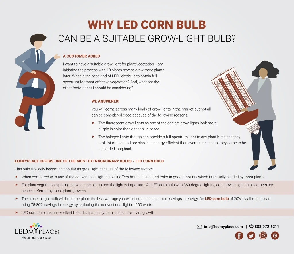 why led corn bulb can be a suitable grow light n.