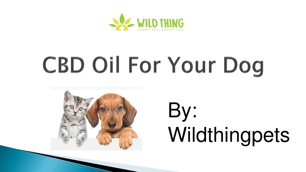 cbd oil for your dog n.