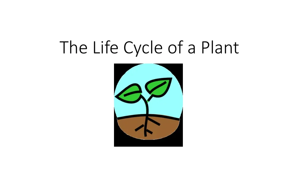 the life cycle of a plant n.
