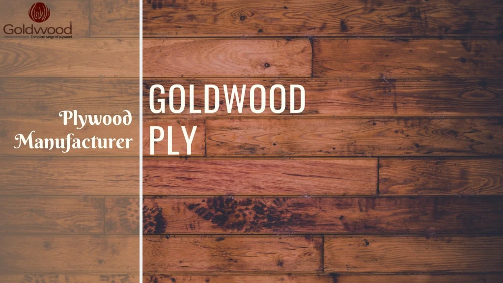 goldwood ply n.