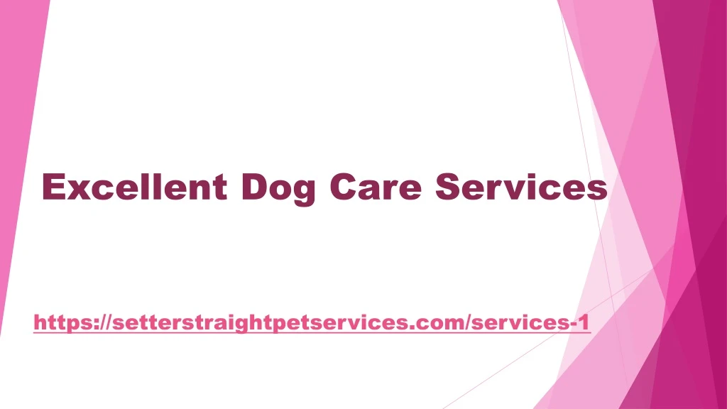 excellent dog care services n.
