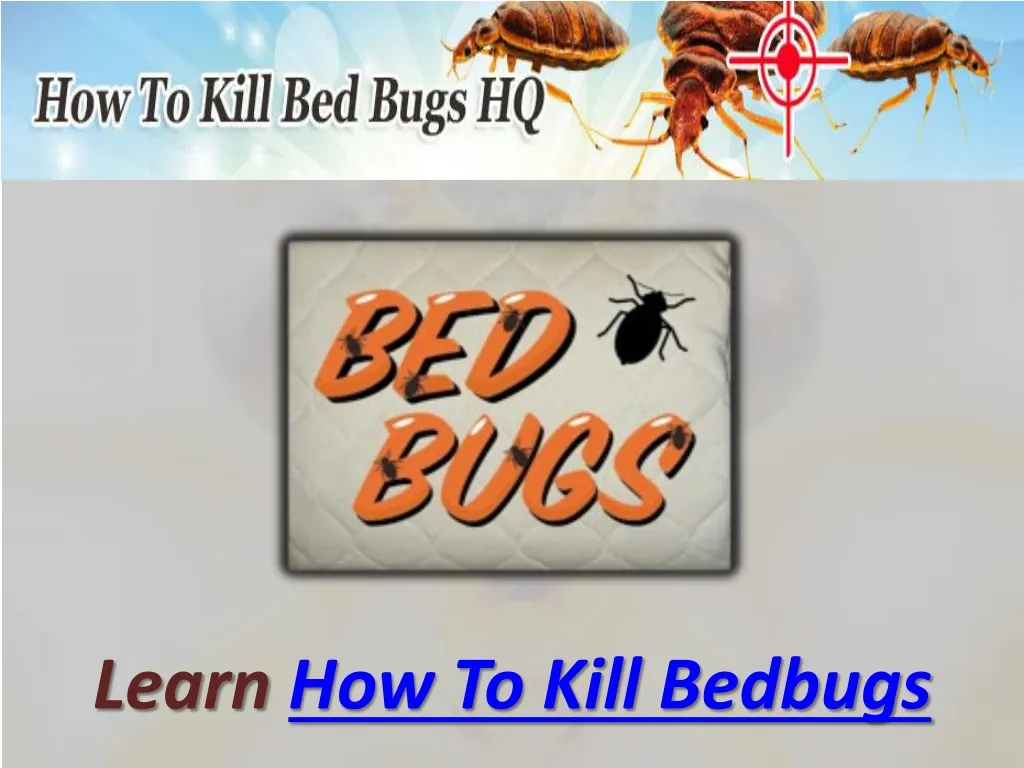 Ppt How To Kill Bedbugs Powerpoint Presentation Free Download Id Ppt How To Kill Bedbugs Powerpoint Presentation Free Download Id