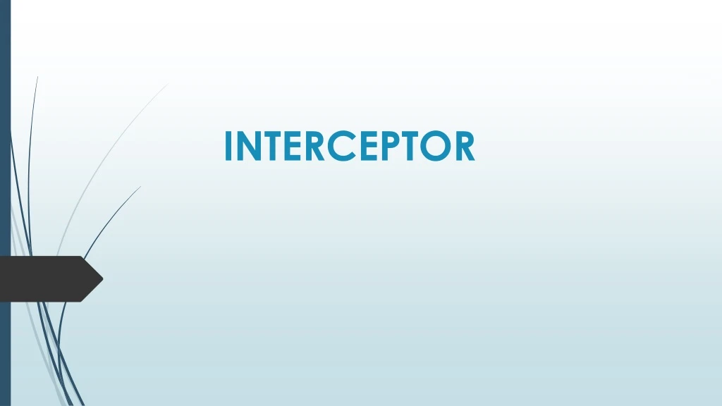 interceptor n.