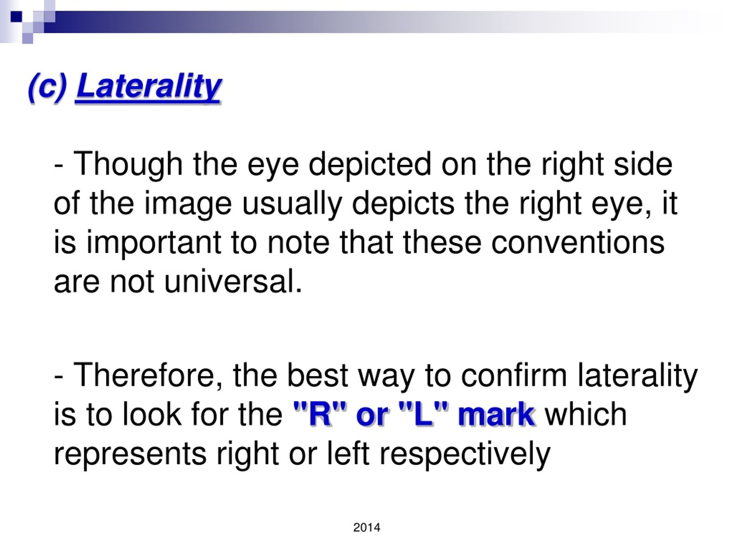 PPT - ORBITAL CT SCAN PowerPoint Presentation, free download - ID:828342