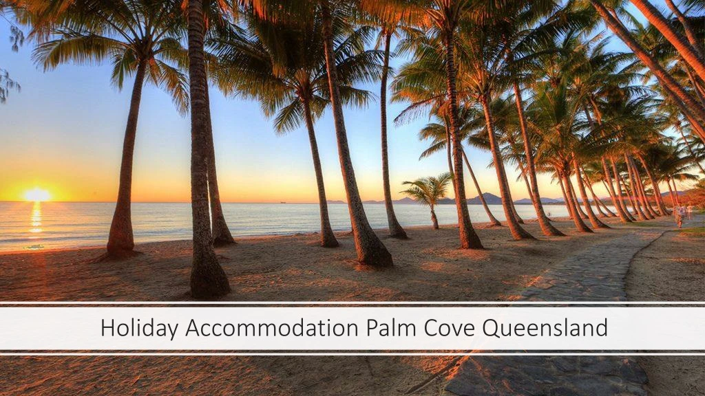 holiday accommodation palm cove queensland n.