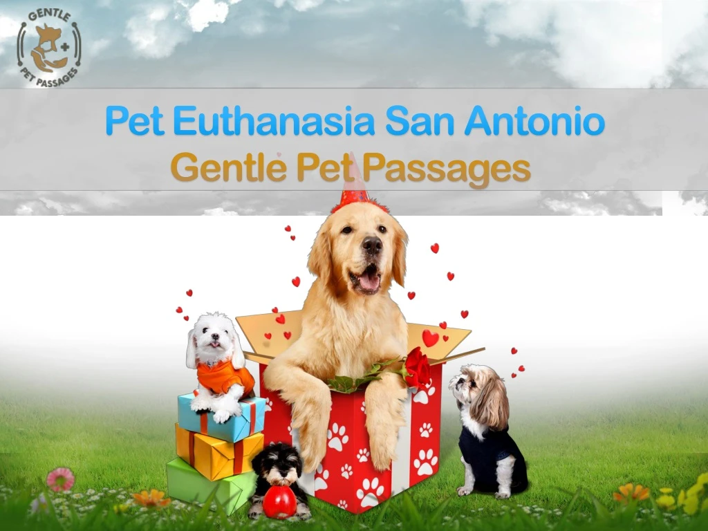 PPT Pet Euthanasia San Antonio PowerPoint Presentation, free download