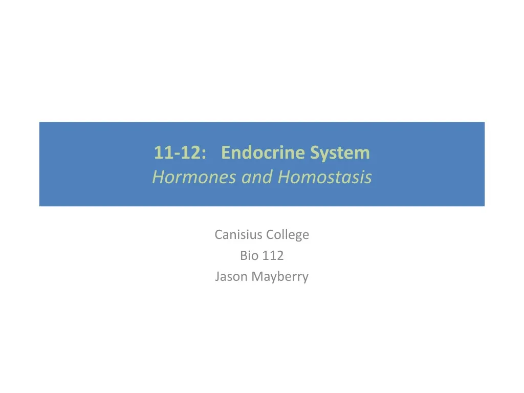 11 12 endocrine system hormones and homostasis n.