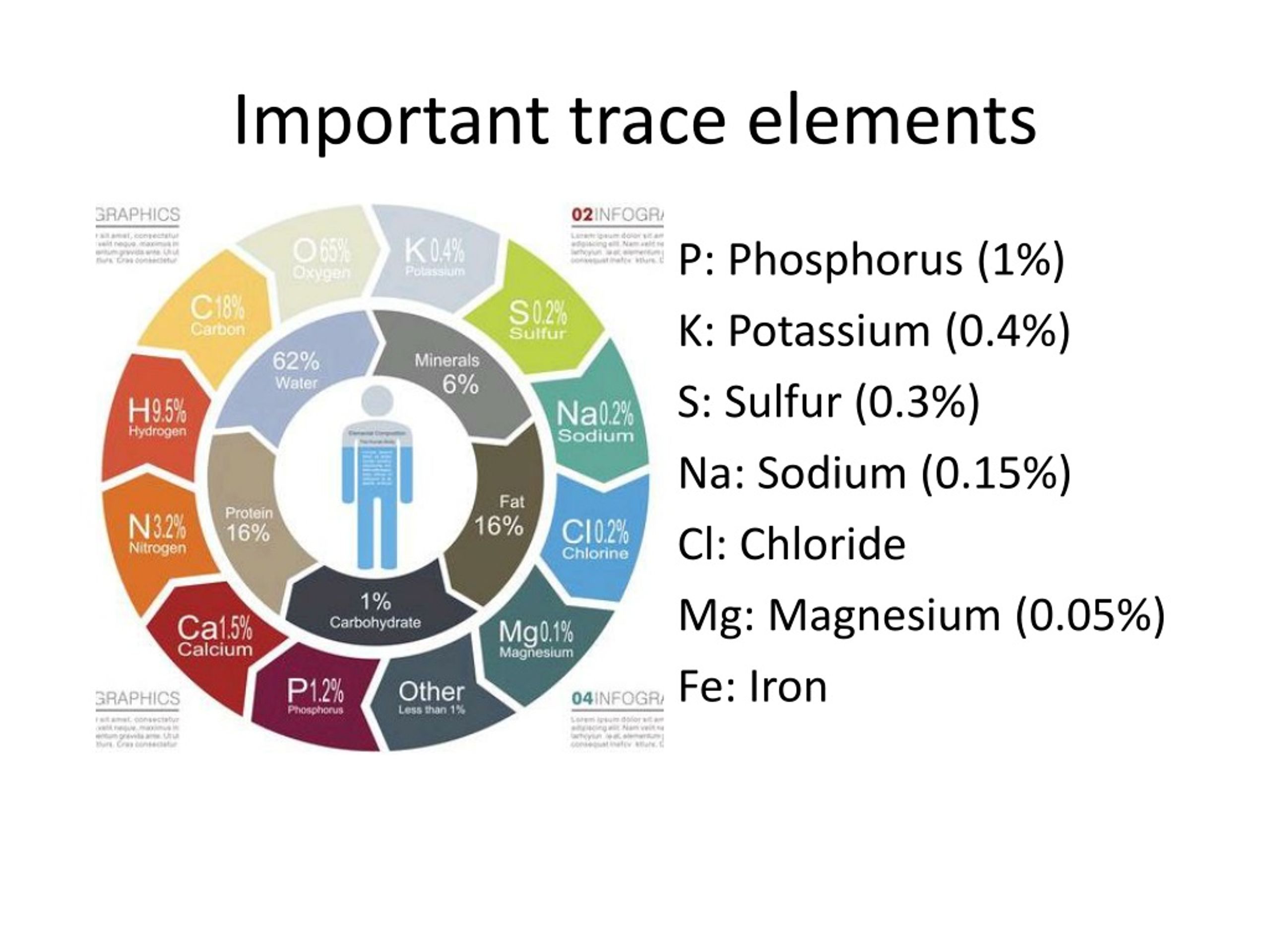 Explain Why Trace Elements Are Important For Human Health at Joseph