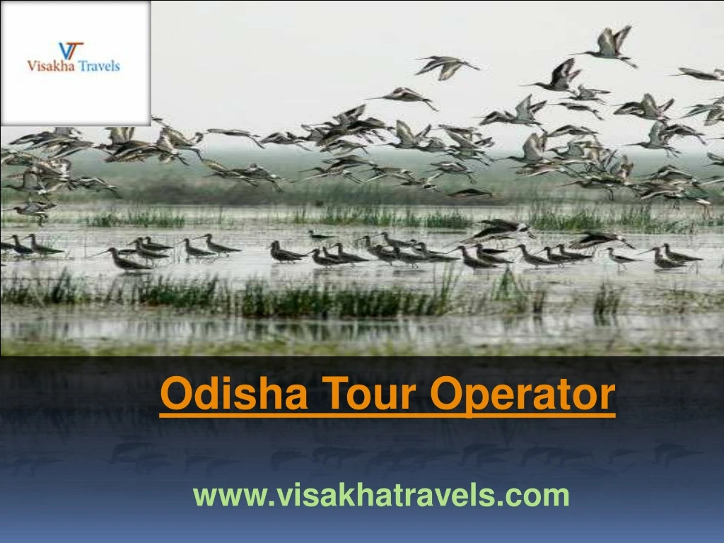 odisha tour operator n.