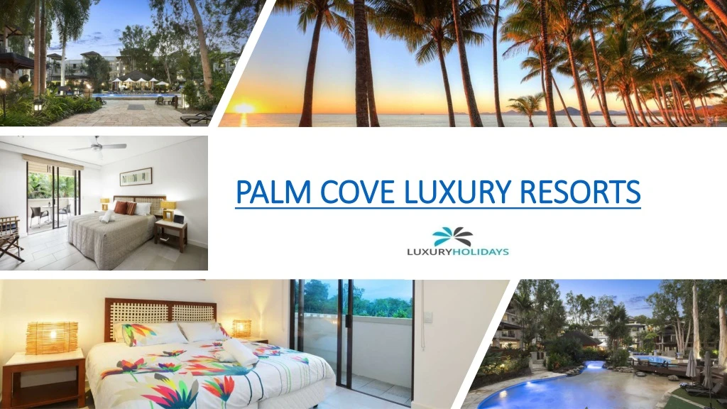 palm cove luxury resorts n.