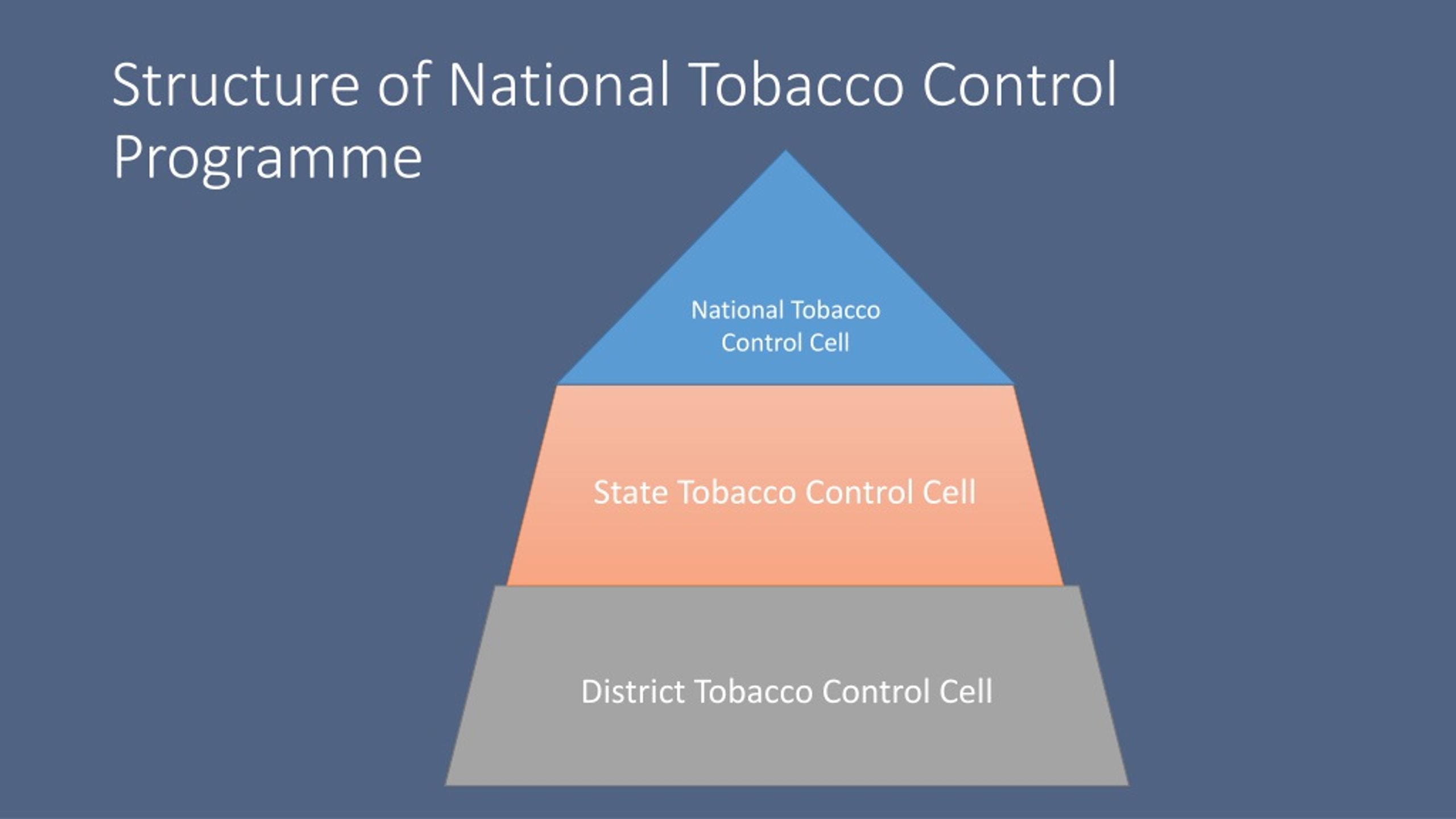 PPT - National Tobacco Control Programme PowerPoint Presentation, Free ...