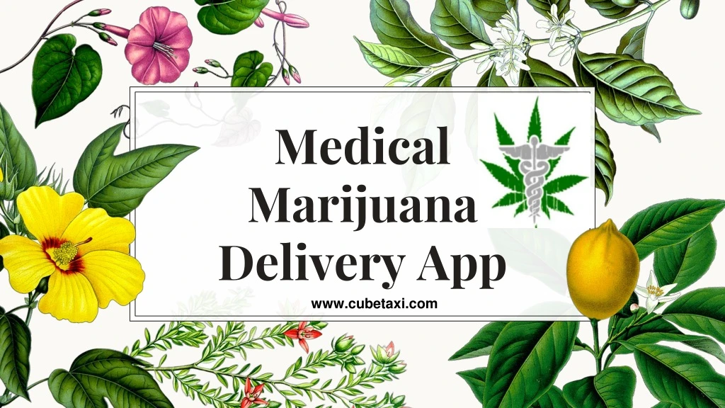 medical m arijuana delivery app n.