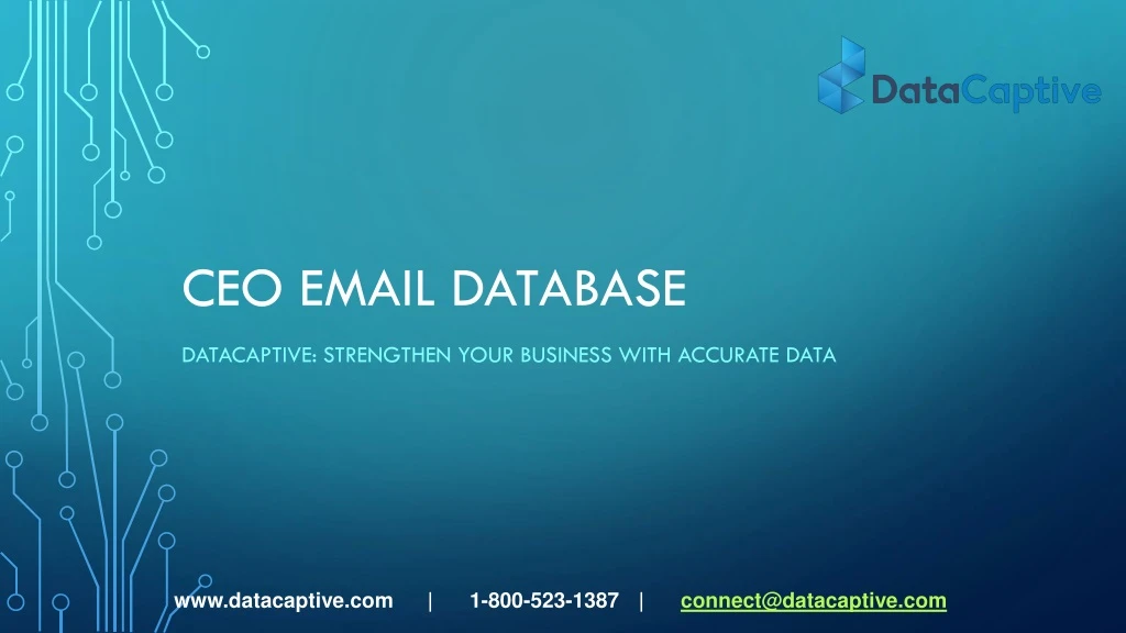 ceo email database n.