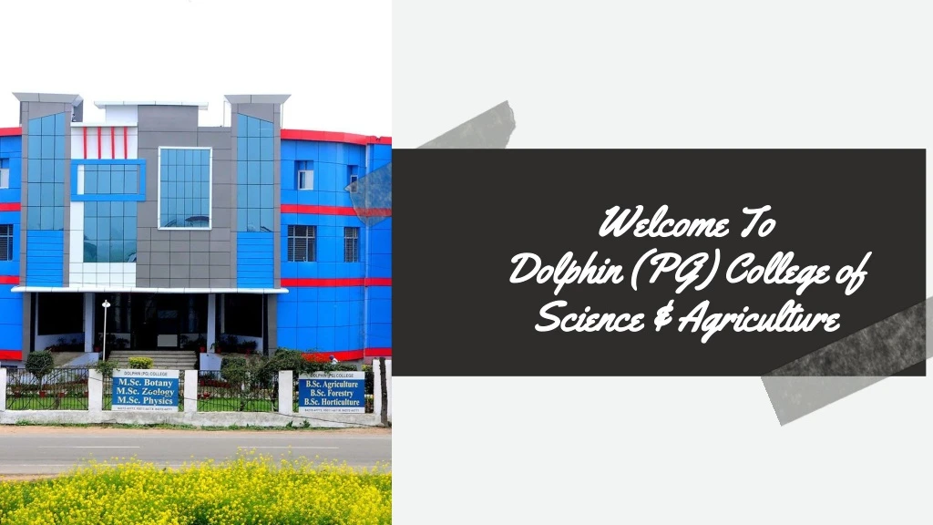 welcome to dolphin pg college of science n.
