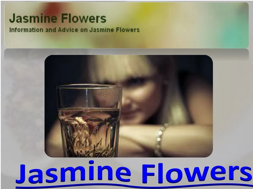 jasmine flowers n.
