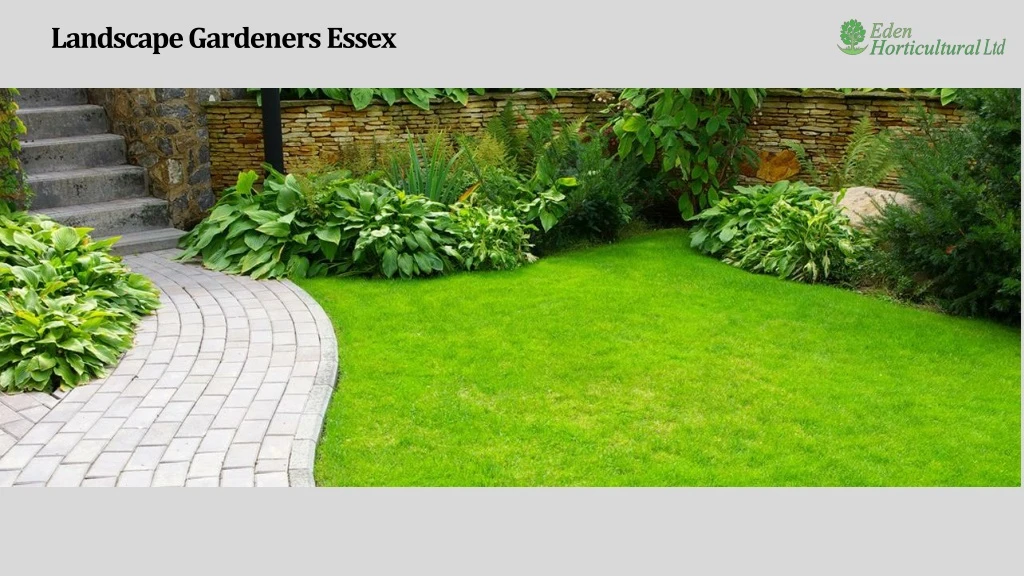landscape gardeners essex n.